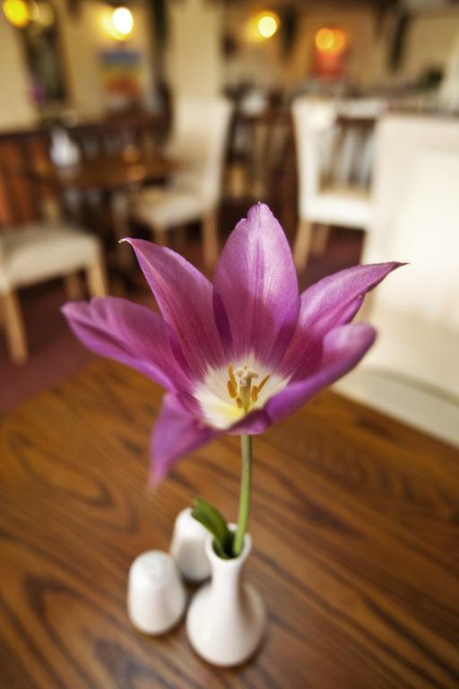 Longfrie Inn Saint Saviour المظهر الخارجي الصورة